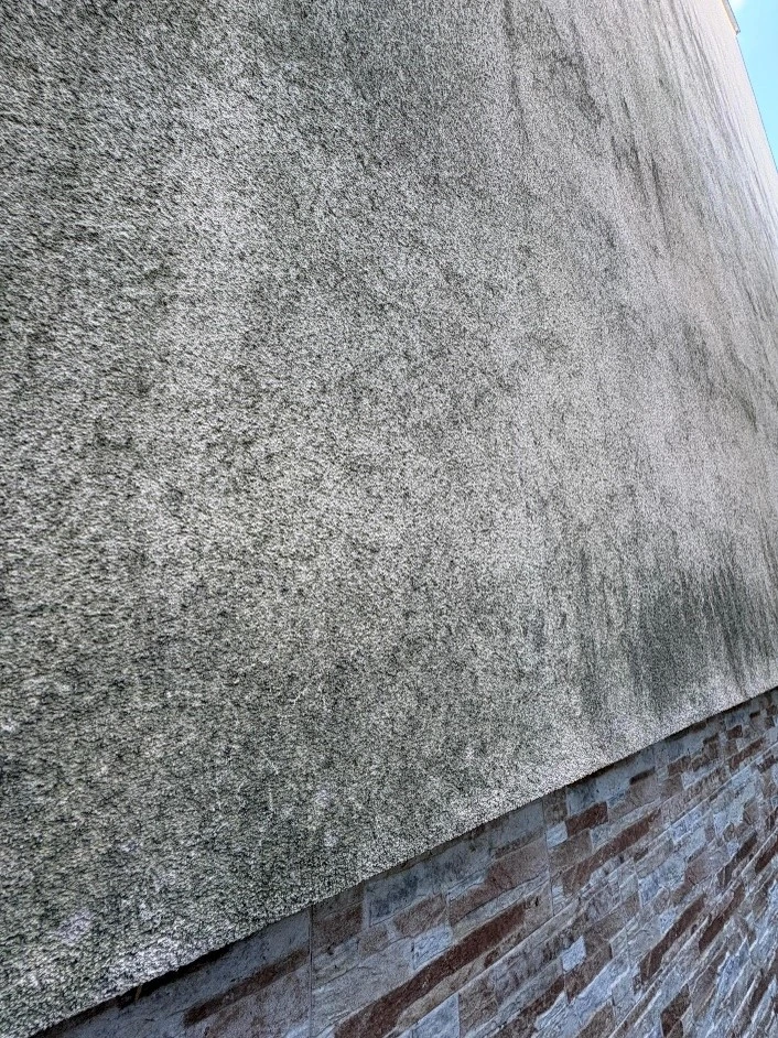 Obrázek5_detailni_fotografie_ras_mechu_plisni_na_vlhke_fasade Detailní fotografie řas, mechů a plísní na vlhké fasádě